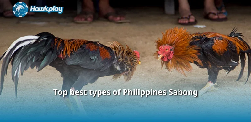 Top best types of Philippines Sabong