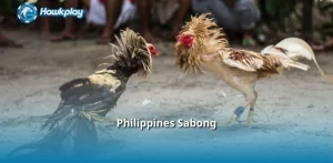 Philippines Sabong