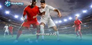 Handicap 2.75