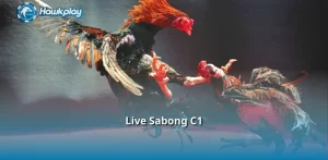 Live Sabong C1